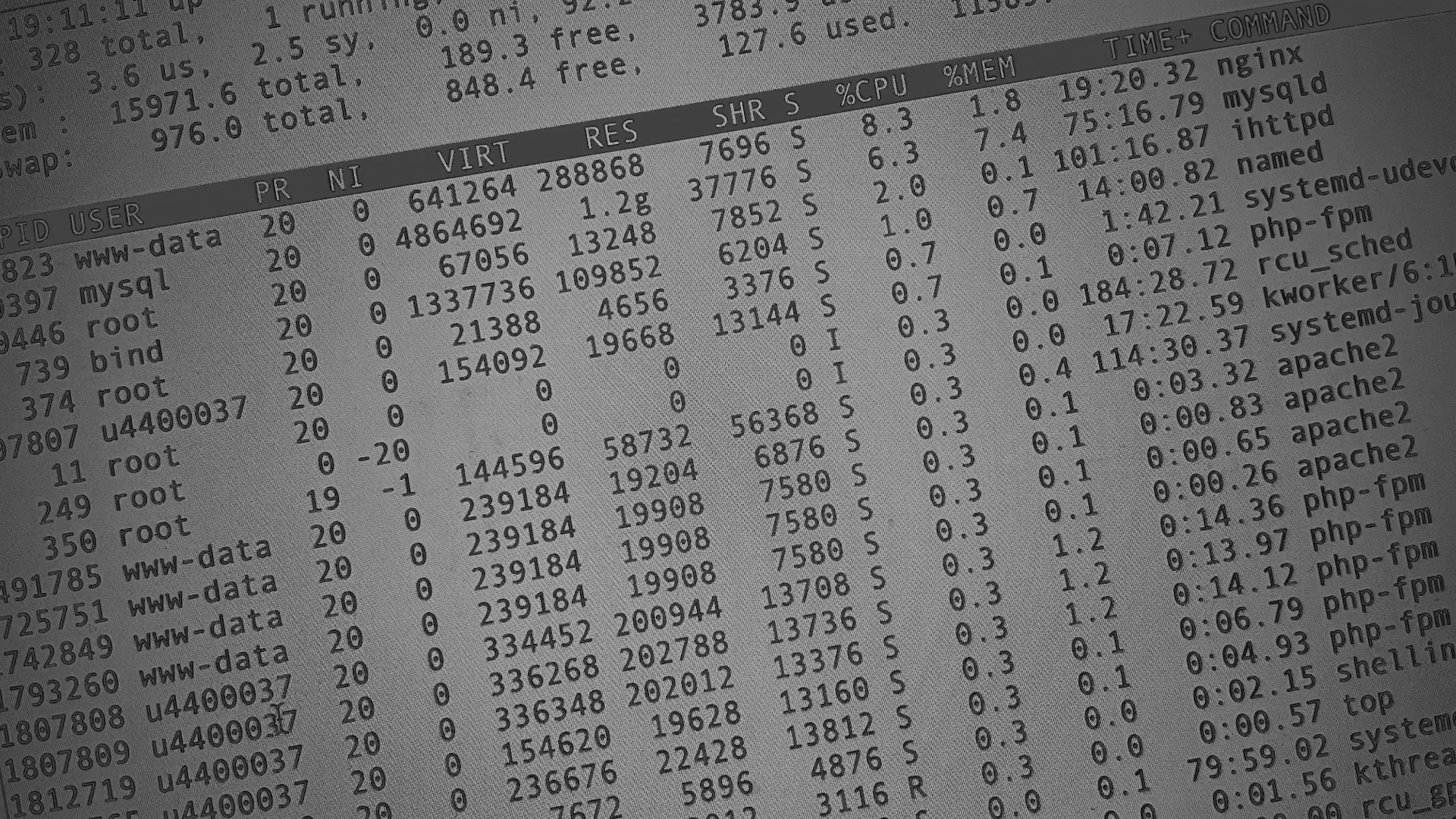 Настройка сервера в Рошале