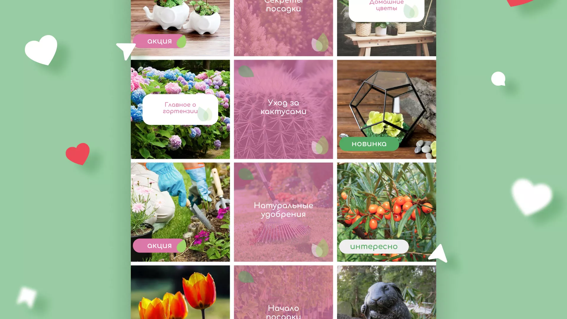 Разработка оформления профиля Instagram для магазина «Floraint» в Рошале