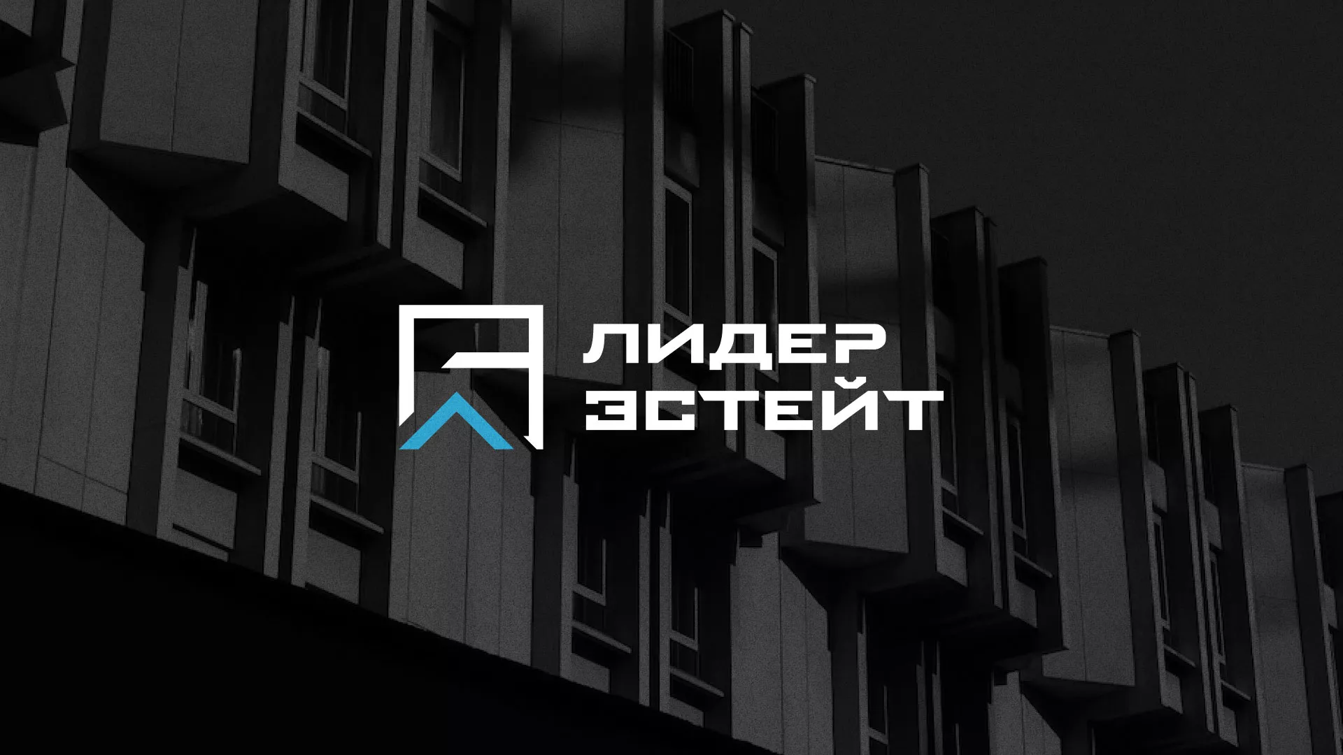 Разработка логотипа агентства недвижимости «Лидер Эстейт» в Рошале